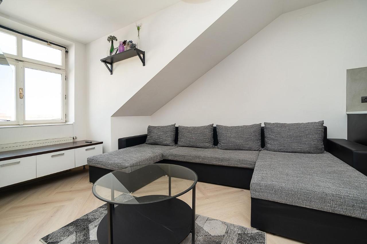 Big 4-Bedroom Flat, Terrace With Great Vitkov View Praha Bagian luar foto